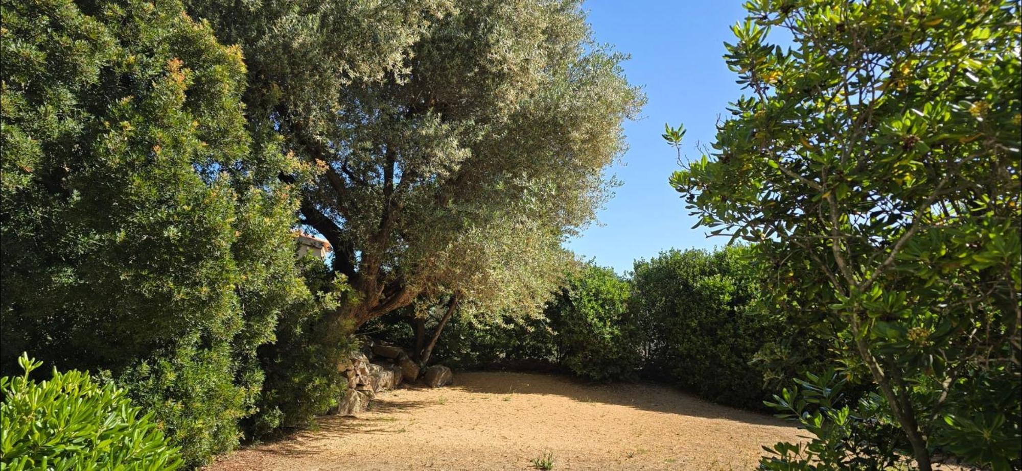 Hotel Cala di l'Oru LʼÎle-Rousse Esterno foto