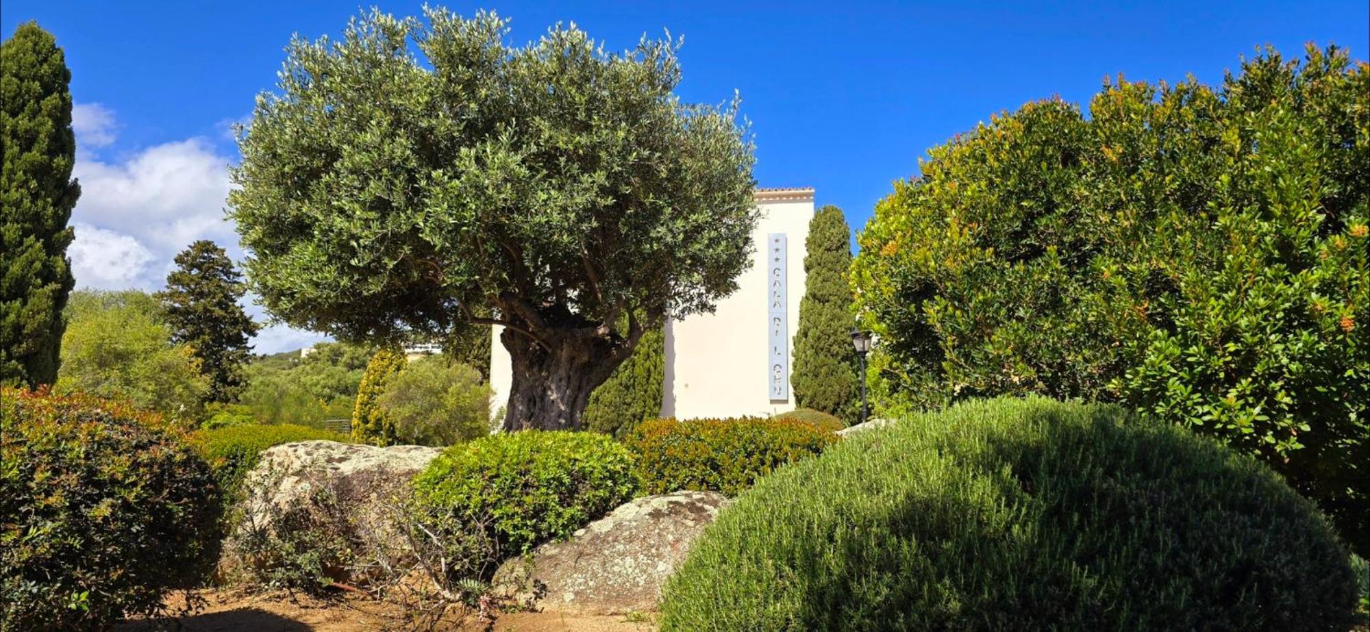 Hotel Cala di l'Oru LʼÎle-Rousse Esterno foto