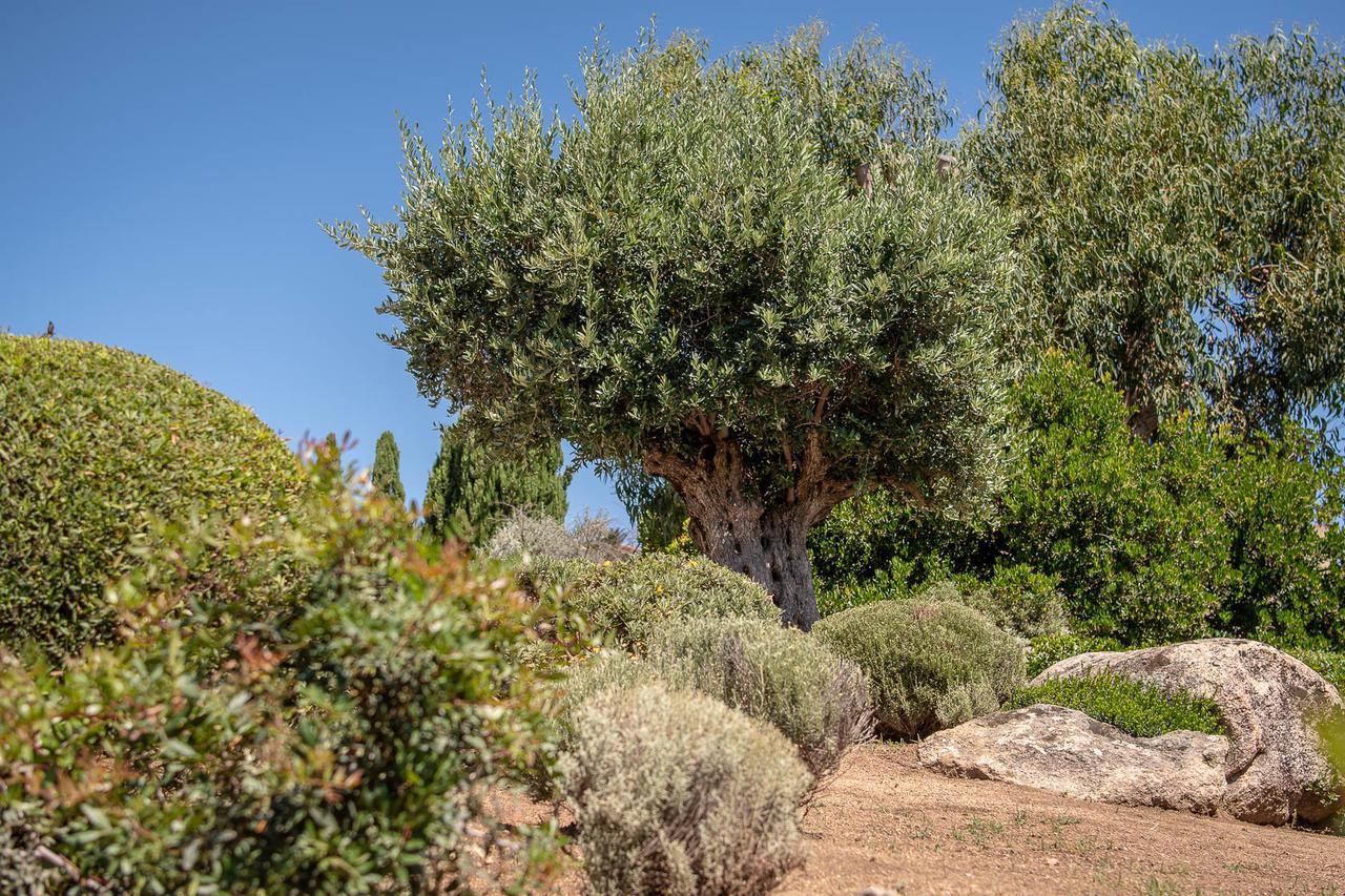 Hotel Cala di l'Oru LʼÎle-Rousse Esterno foto